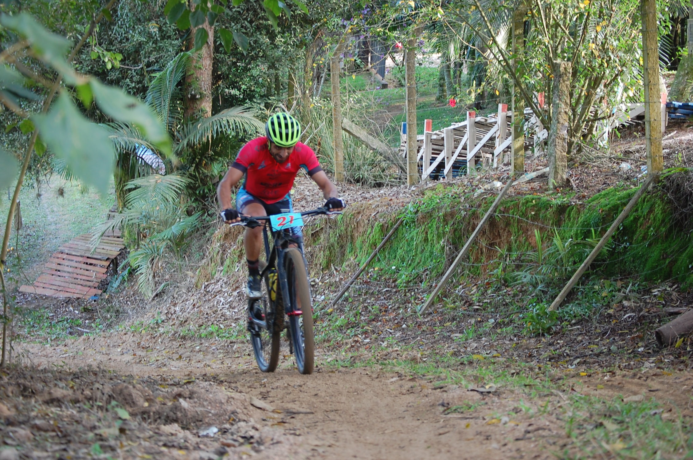MTB